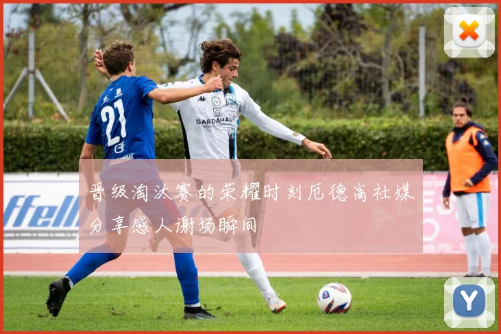 晋级淘汰赛的荣耀时刻厄德高社媒分享感人谢场瞬间